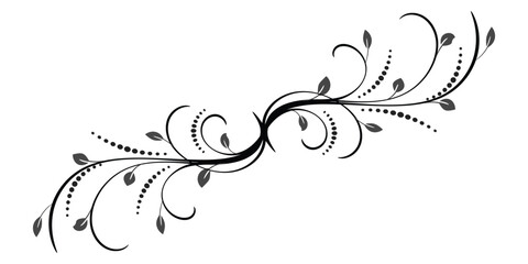 Beautiful floral ornaments vector, illustration, art work.
