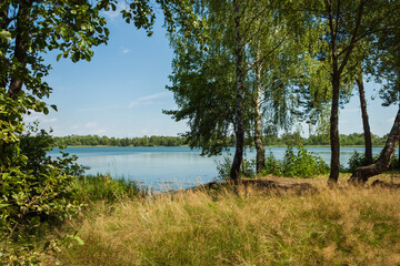 Landscape with forest lake