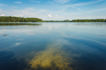 Reflection of clouds in the lake. Landscape with a forest lake on a summer sunny day. 
