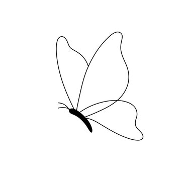 Vector isolated one single beautiful simple flying or sitting butterfly side view colorless black and white contour line easy drawing