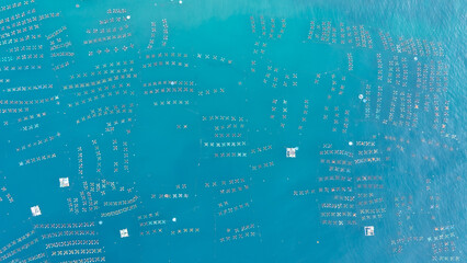 lobster farm in then sea, Hon Yen islands, Phu Yen province, Viet Nam