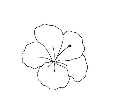 Vector isolated one single beautiful tropical flower with five petals colorless black and white contour line easy drawing