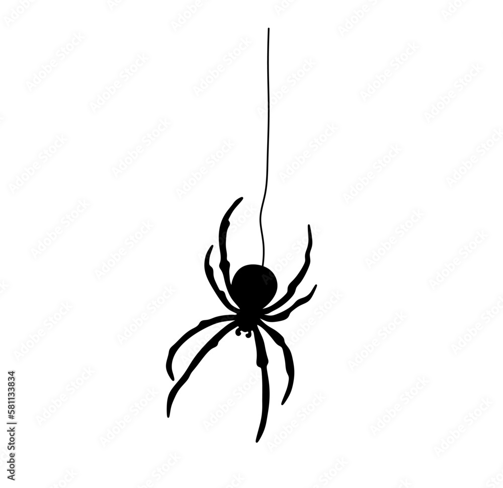 Poster vector isolated one single black spider handing on a web thread colorless black and white outline si