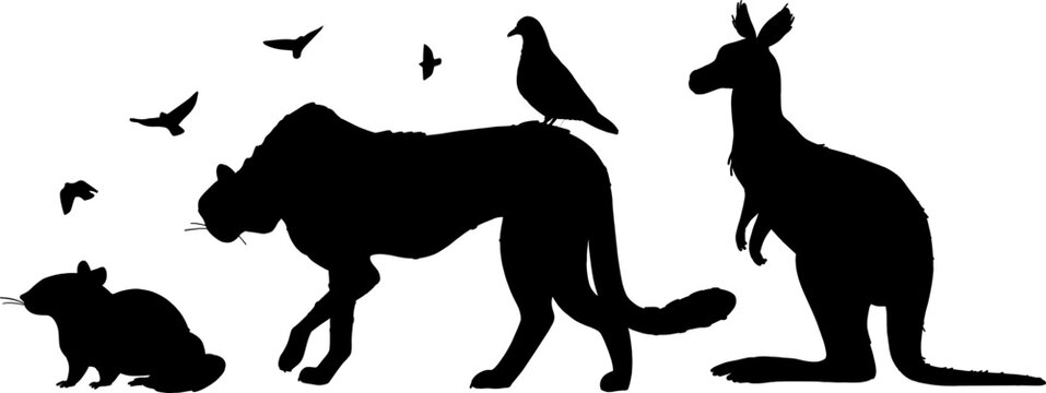 Animal Silhouette Vector Illustration
