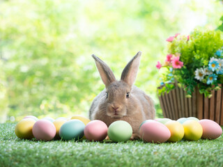 Gray rabbit sitting  with easter eggs on green grass and green nature background.