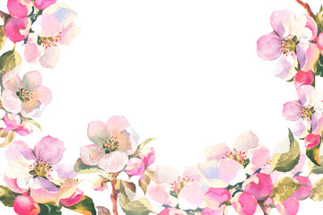 Watercolour illustration, delicate branch of an apple tree with flowers and leaves. Horisontal frame with Spring pink flowers, with empty plase for you text, template for postcard