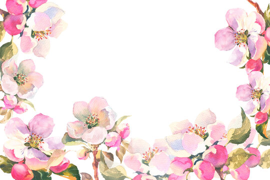 Watercolour illustration, delicate branch of an apple tree with flowers and leaves. Horisontal frame with Spring pink flowers, with empty plase for you text, template for postcard