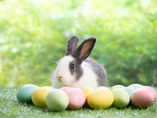 Cute rabbit sitting  with easter eggs on green grass and green nature background.