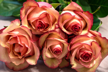 Bouquet of roses close up
