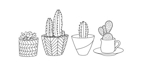 Cactus in different styled pots, Home plants collection, Vector set, Hand drawn illustrations