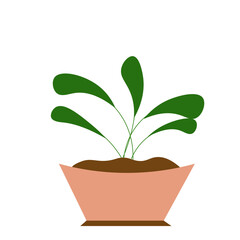 House Plant Element