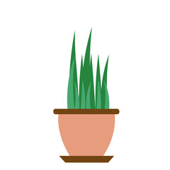 House Plant Element