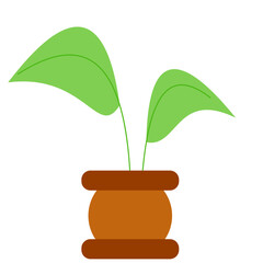 House Plant Element