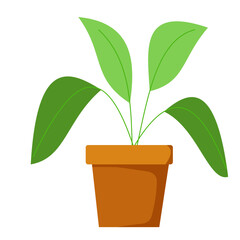 House Plant Element