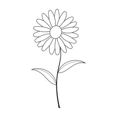 ilustrasi vector bunga daisy. line art daisy