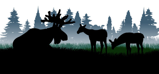 Elk with big antlers and cubs. Glade in coniferous forest. Silhouette picture. Morning fog. Animals in wild. Isolated on white background. Vector.