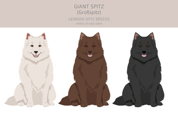 German spitz, Giant spitz clipart. Different poses, coat colors set