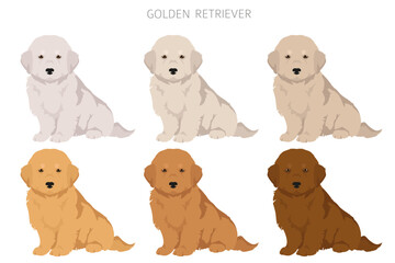 Golden retriever dogs in different poses and coat colors clipart