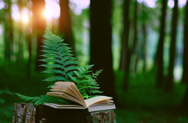 Book with fern leaves on stump in forest, natural blurred background. witchcraft magic old book in...