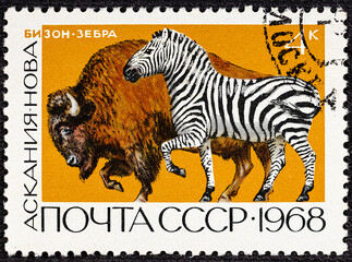 RUSSIA - CIRCA 1968 stamp printed by Russia, shows zoo, bison, buffalo, zebra.