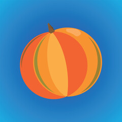 Pumpkin. Edible vegetable. Orange with yellow and green, on a blue background.