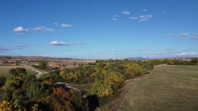 video a vista de pájaro de arboleda arboles coloridos en el campo. arboleda verde y naranja en el campo a vista de dron. conjunto de arboles