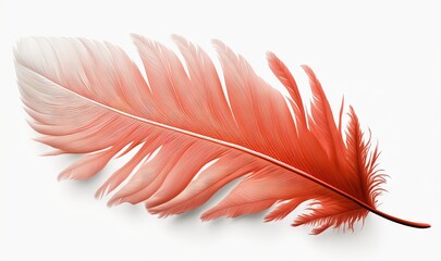  a red feather on a white background with a shadow of a feather on the left side of the image and a shadow of a feather on the right side of the left side of the image.  generative ai