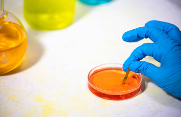 scientist working in laboratory