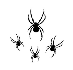 Vector isolated four black crawling spiders set colorless black and white contour line easy drawing