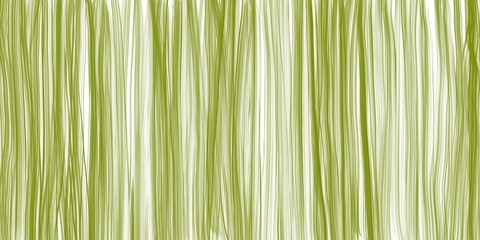 Beautiful abstract vertical green background with lines. Thin green strokes. Chaotic lines.