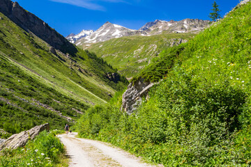 Trekking in the Valgrisenche Natural Park. Panorama along the path among flowers, mountains, peacks, meadows and pastures. Alpine Landscape of Italian Alps in summer. Aosta Valley. Alps Italy.