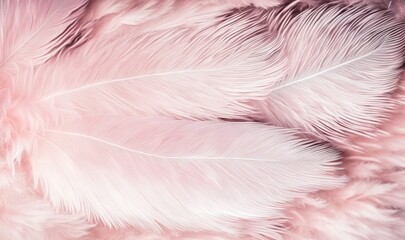  a close up view of a pink feather pattern on a pink and white background, with a soft focus on the feathers of the feather.  generative ai
