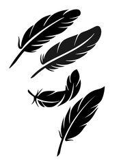 Obraz premium Feather vector set on white background.