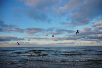 Scenic view of seagulls flying over the beach with cloudy skies in the background