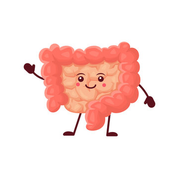 Cartoon Gut Human Body Organ Character. Vector Healthy And Happy Gastrointestinal System Anatomical Personage Waving Hand. Cheerful Intestine With Healthy Flora And Cute Smiling Face