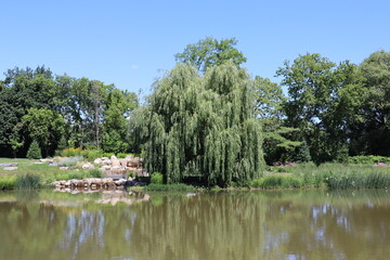 Flowers all over the world