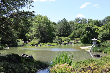 Flowers all over the world