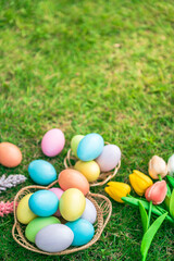 Fototapeta na wymiar Colourful Easter eggs decoration in basket with flower on green grass lawn. Happy Easter tradition holiday and springtime seasonal celebration concept.