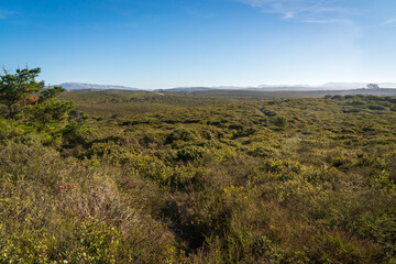 Hilly Vistas at Fort Ord National Monument