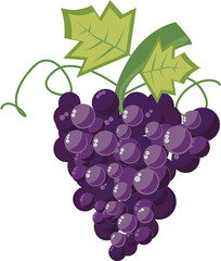 Cartoon grape fruit illustration, Transparent background