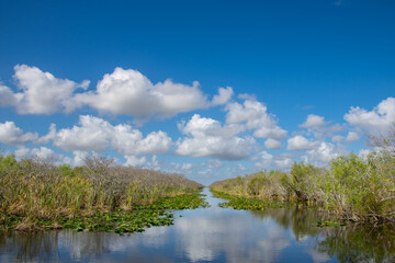 Fototapeta na wymiar View of a small river inside Everglades park in Florida USA