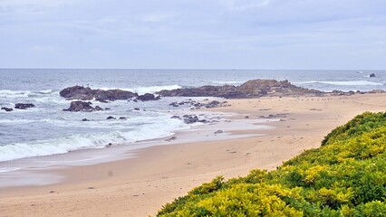 Scenic empty sandy seascape on a gloomy day