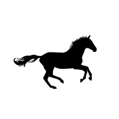 Fototapeta na wymiar black horse running