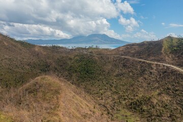 Fototapeta na wymiar Bird's-eye view of felled forests on a hill