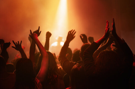 Raise your hands if you love music. adoring fans at a rock concert.