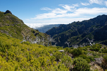 Portugal - Madeira - Pico Ruivo - Zustieg