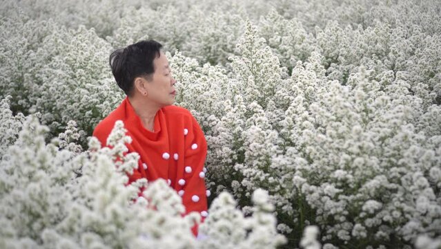 Old Asian senior woman wearing red sweater polka dots enjoy white flower field nature season holiday