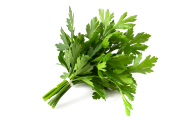 Bunch of fresh green parsley isolated on white background.