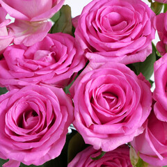 Many beautiful pink roses background, closeup