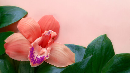 natural leaf with orchid